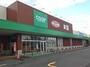 スーパー　コープさっぽろほんどおり店（スーパー）まで212m