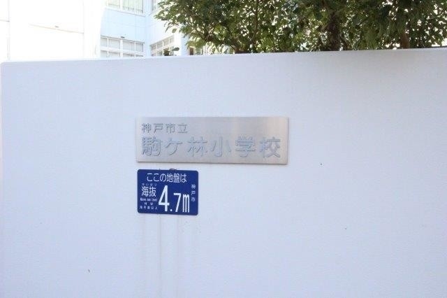 小学校　神戸市立駒ケ林小学校（小学校）まで566m