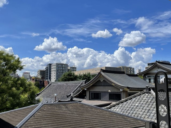 眺望