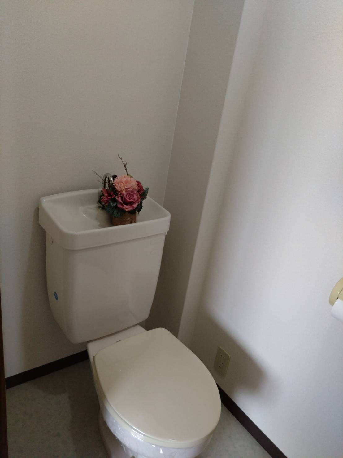 グレースヴィラIIのトイレ写真
