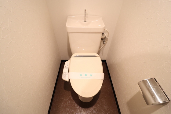 トイレ　※別号室の写真です