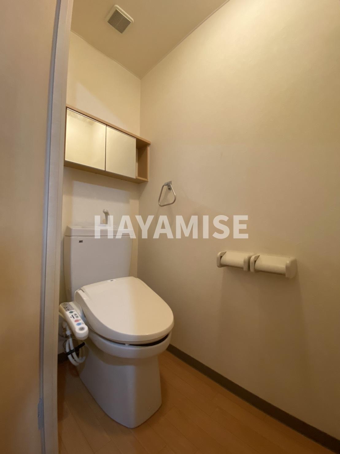 トイレ　同物件同タイプ別号室の写真