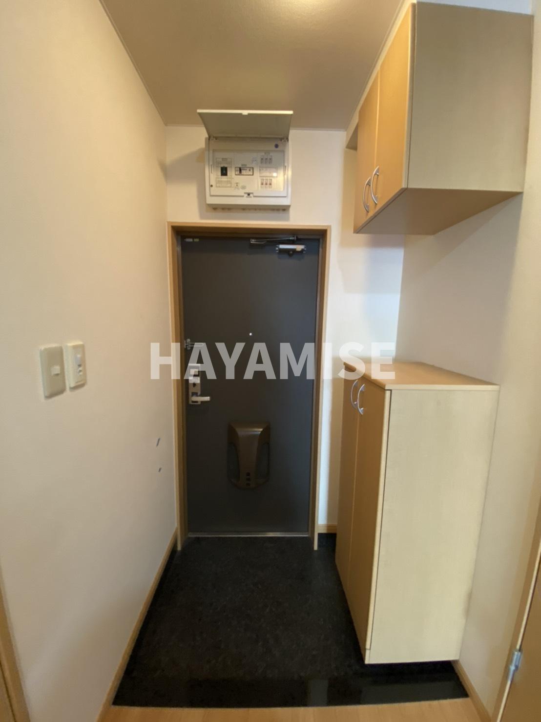 玄関　同物件同タイプ別号室の写真