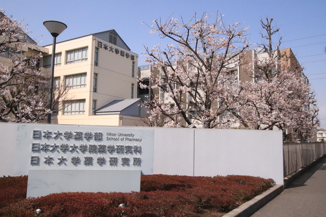 大学・短大　日本大学　薬学部（大学・短大）まで550m
