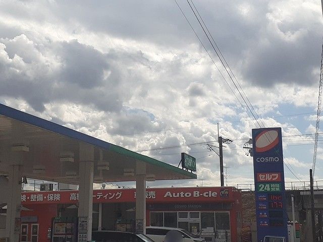 その他　コスモス（その他）まで350m