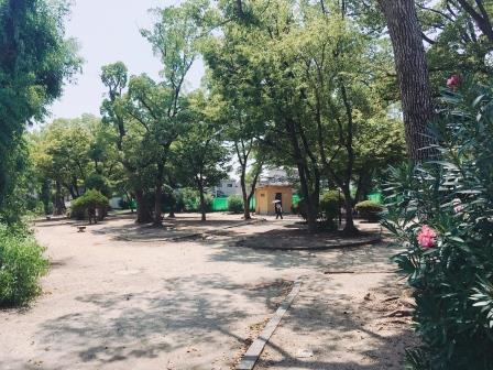 公園　三国ケ丘公園（公園）まで821m