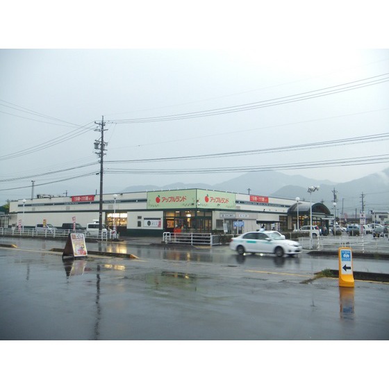 スーパー　アップルランド大豆島店（スーパー）まで1042m