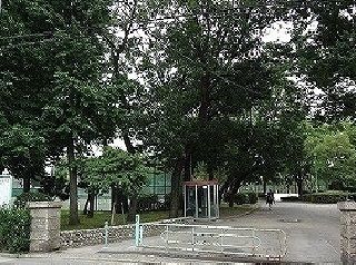 公園　松葉公園（公園）まで400m