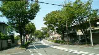 その他　けやき通り（その他）まで250m