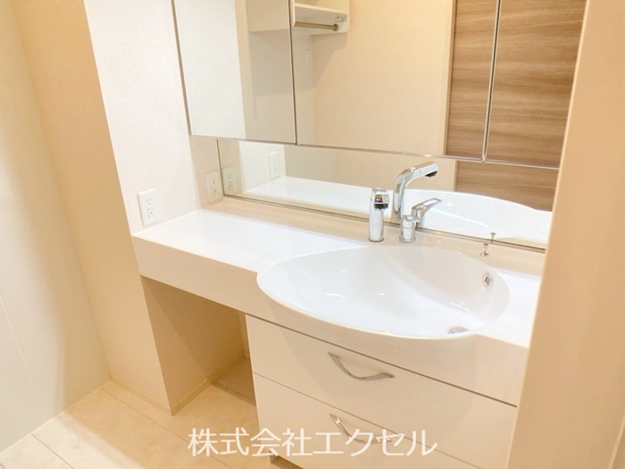 洗面設備　シャワー付きの洗面台です。