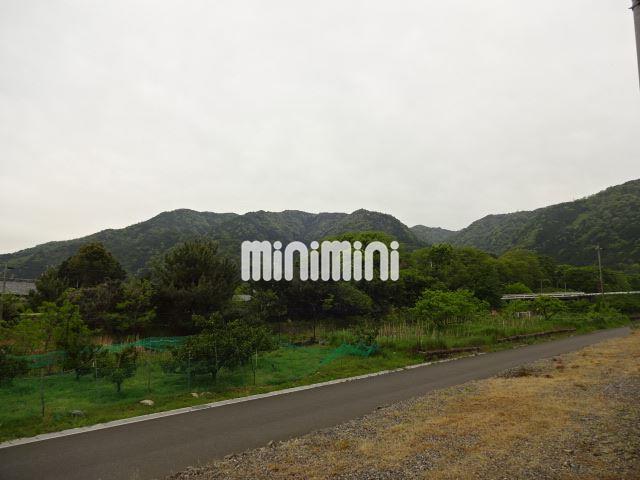 眺望　気持ちの良い景色ですね。