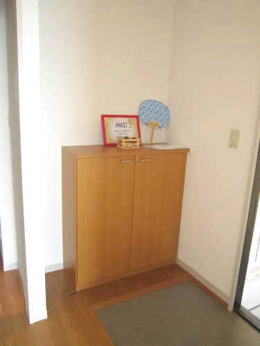 玄関　※同タイプの部屋写真です