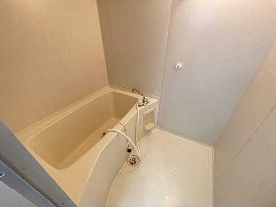 バス・シャワールーム　※別部屋の写真です