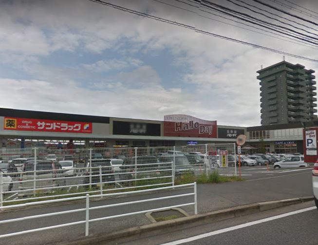 スーパー　HalloDay(ハローデイ) 共立大前店（スーパー）まで452m