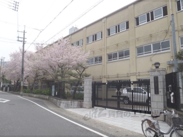 小学校　音羽川小学校（小学校）まで550m