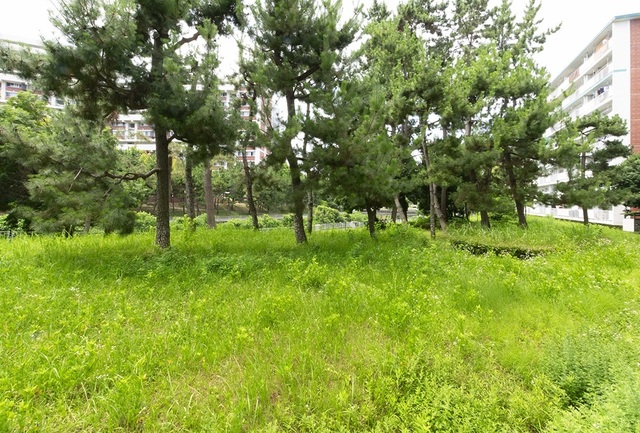 UR北緑丘のその他写真