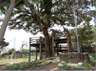 公園　具志宮城北公園（公園）まで317m
