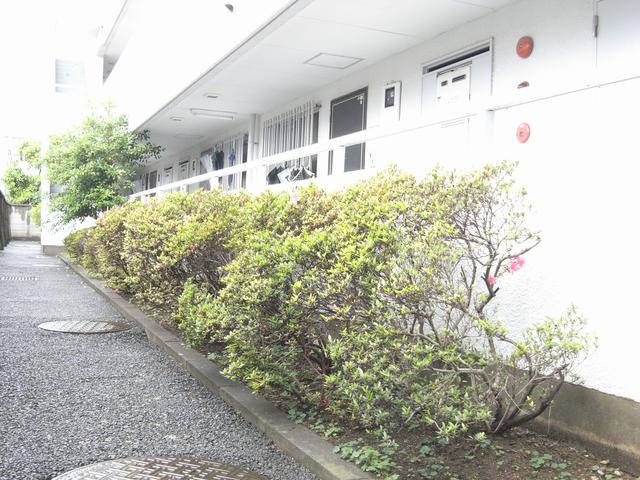 その他　植栽