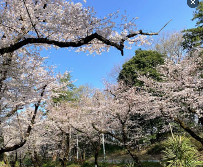 公園　黒鐘公園★（公園）まで356m