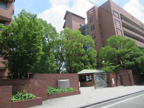大学・短大　東大阪大学・東大阪大学短期大学部（大学・短大）まで1262m
