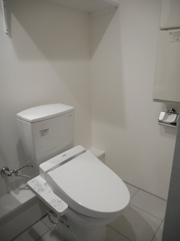 LAPiS武蔵小金井IIIのトイレ写真