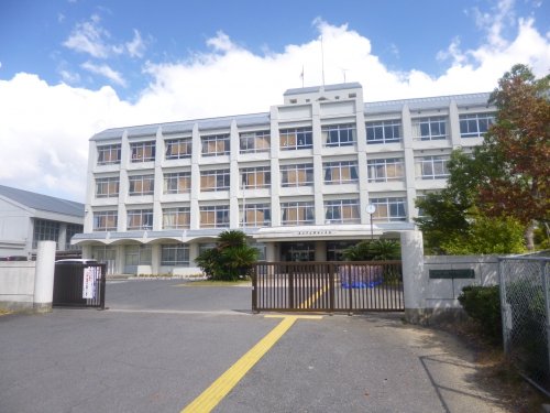 小学校　守山市立物部小学校（小学校）まで674m