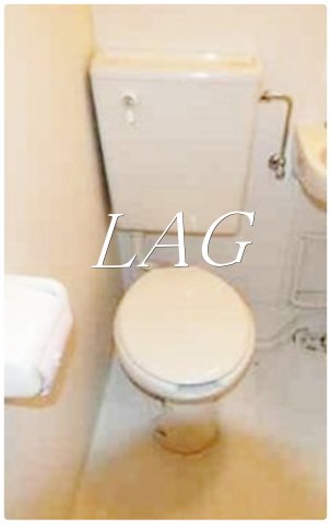 ＪＲ山手線 御徒町駅 徒歩3分 6階建 築56年のトイレ写真