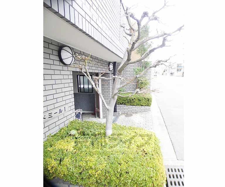 庭