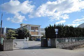 中学校　白峰中学校（中学校）まで369m