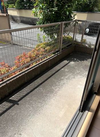 庭