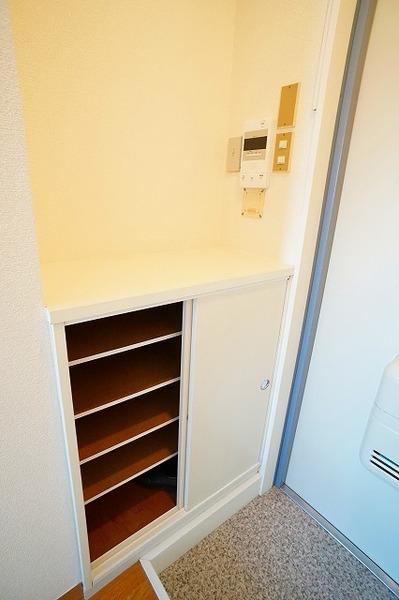 【レオノーレ雪谷の収納】