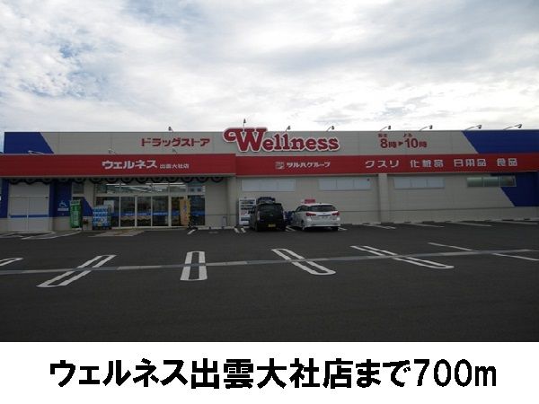 ドラックストア　ウェルネス出雲大社店（ドラッグストア）まで700m