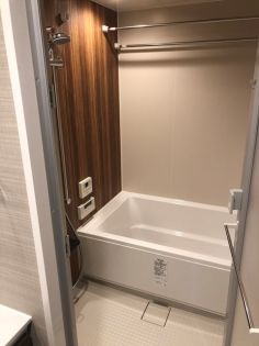 バス・シャワールーム　同マンション別部屋参照。