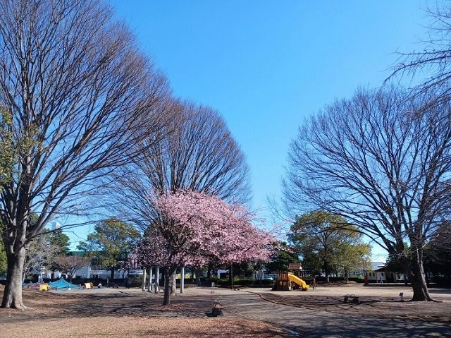 公園　米之宮公園（公園）まで500m