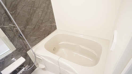 バス・シャワールーム　同仕様タイプ