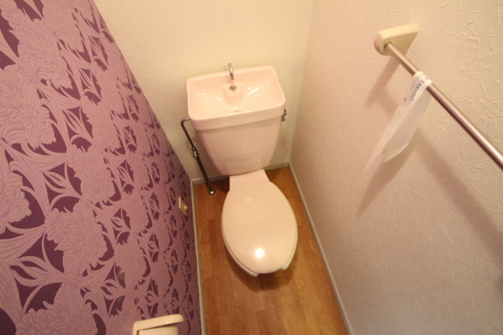 トイレ　※別号室の写真です