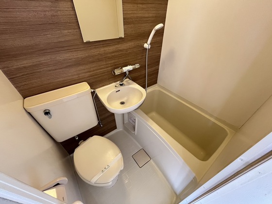 バス・シャワールーム　※別部屋の写真です