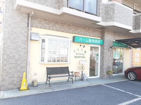 病院　パーム動物病院（病院）まで400m