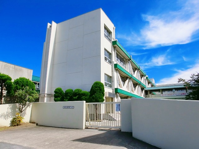 中学校　茨木市立南中学校（中学校）まで1003m