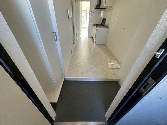 玄関　※別部屋の写真です