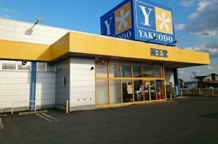 ドラックストア　薬王堂十和田東店（ドラッグストア）まで1766m