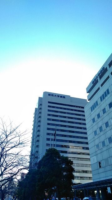 病院　昭和大学病院（病院）まで596m