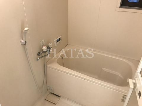 バス・シャワールーム　同物件・別部屋のお写真です。