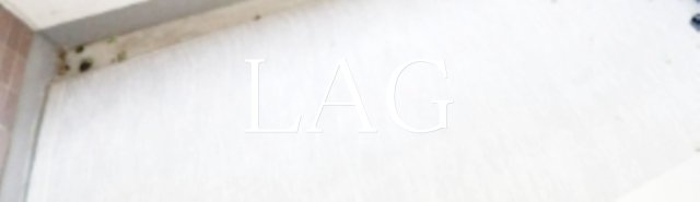 バルコニー　バルコニーです。