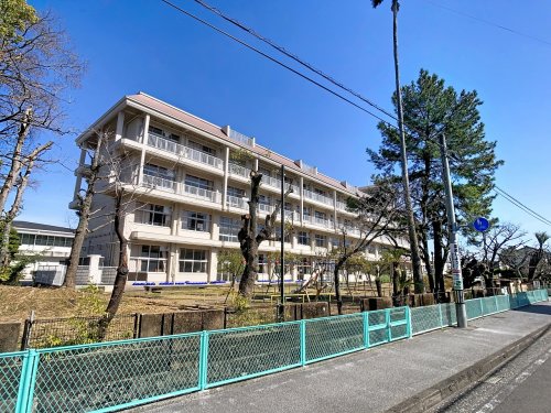 小学校　高知市立昭和小学校（小学校）まで595m