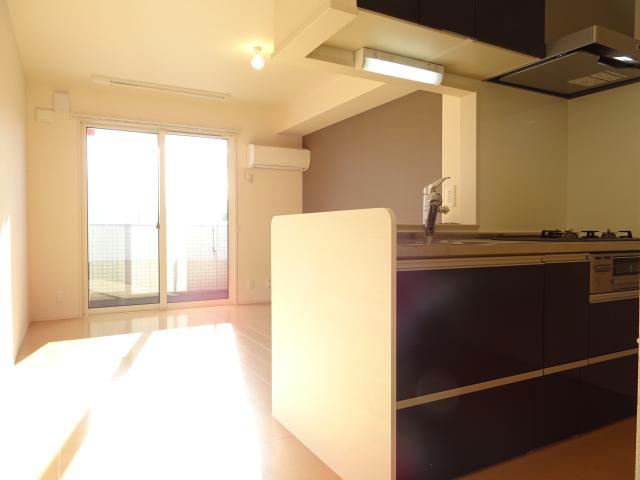 居室・リビング　LDK11.3帖