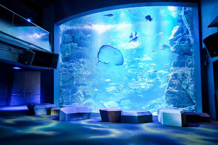 その他　京都水族館（その他）まで350m