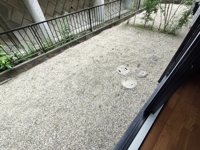 庭