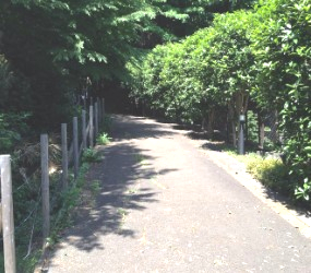 公園　綱島 市民の森（公園）まで1728m