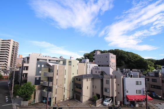 眺望　※別部屋の写真です